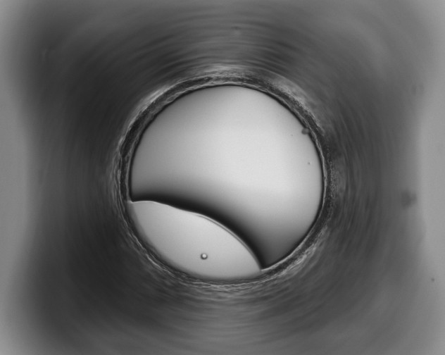 X0000100331066200806051159