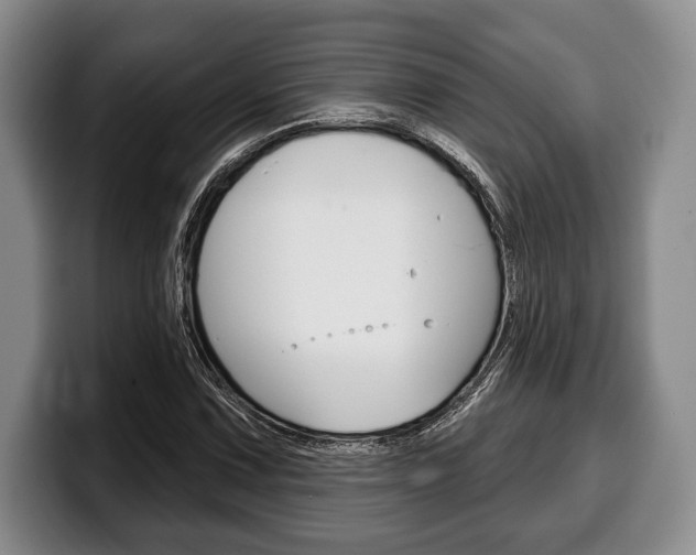 X0000100331067200806051159