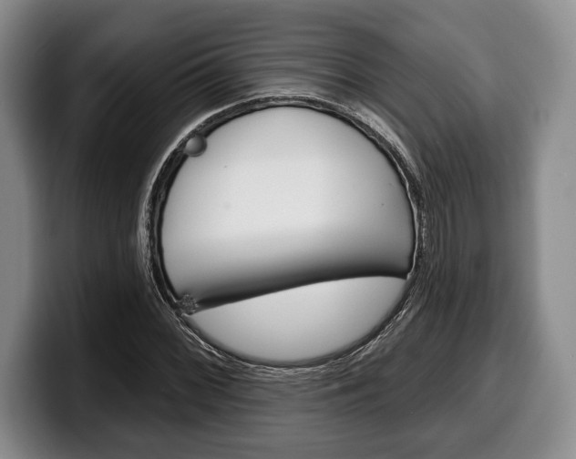 X0000100331068200806051159