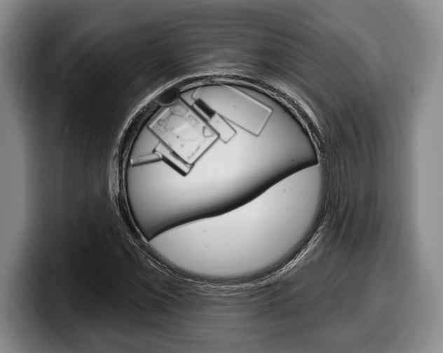 X0000100331069200806051159