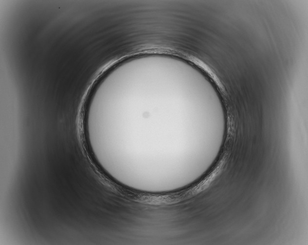 X0000100331074200806051159