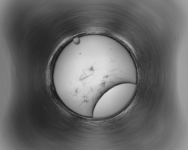 X0000100331075200806051159