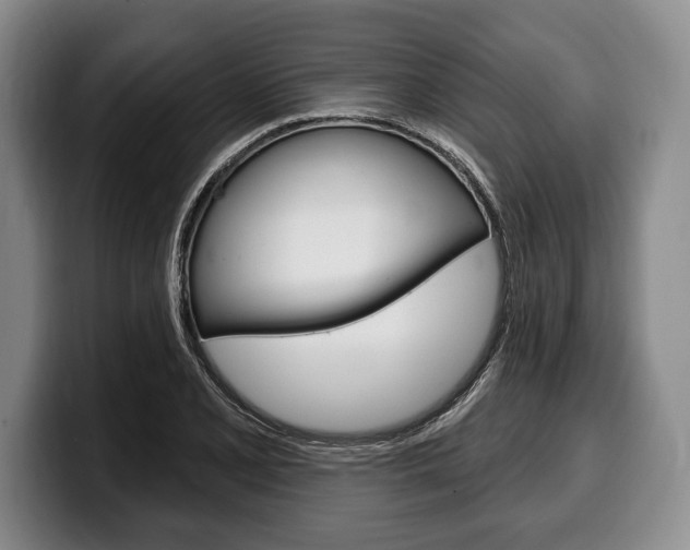 X0000100331077200806051158