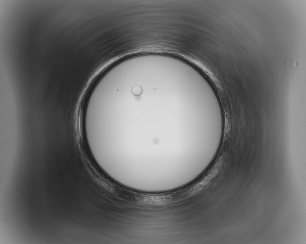 X0000100331078200806051158