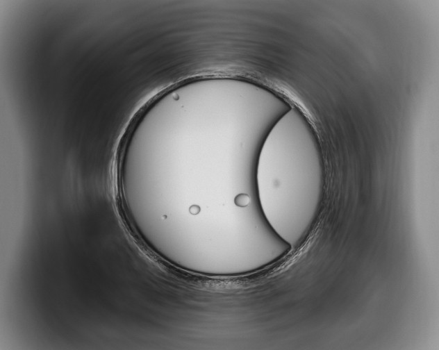 X0000100331079200806051158