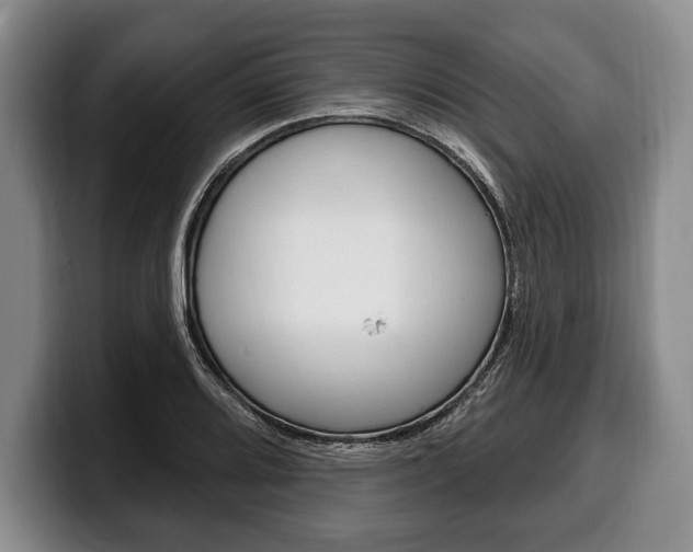 X0000100331080200806051158