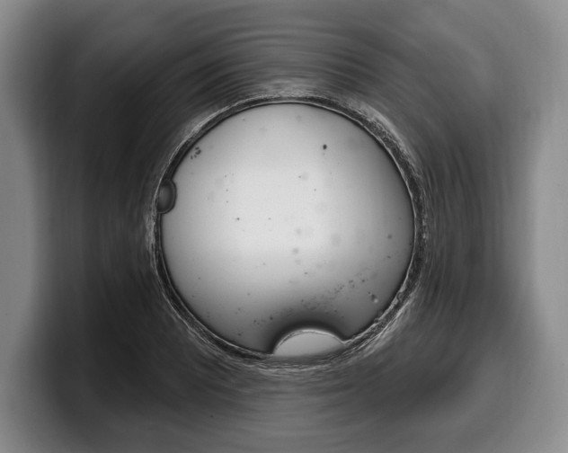 X0000100331081200806051158