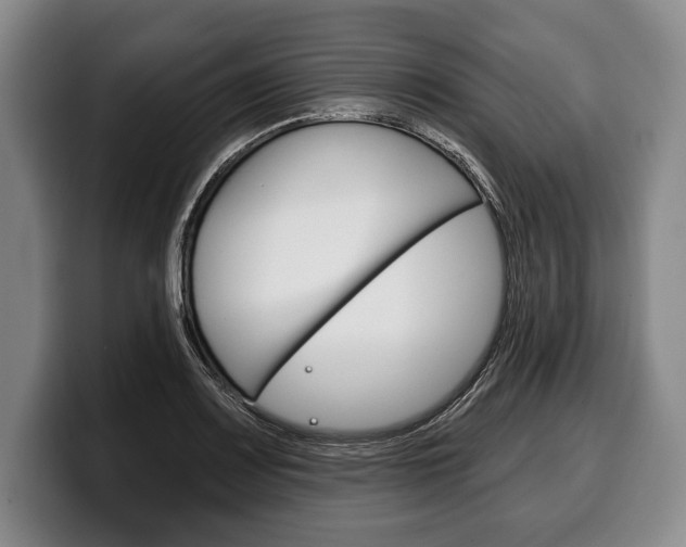 X0000100331083200806051158