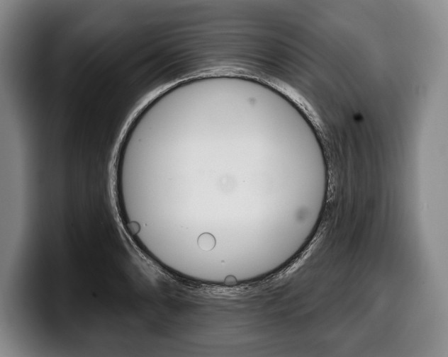 X0000100331086200806051158