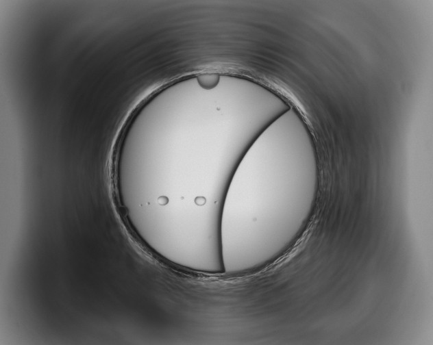 X0000100331087200806051158