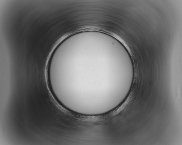 X0000100331090200806051158