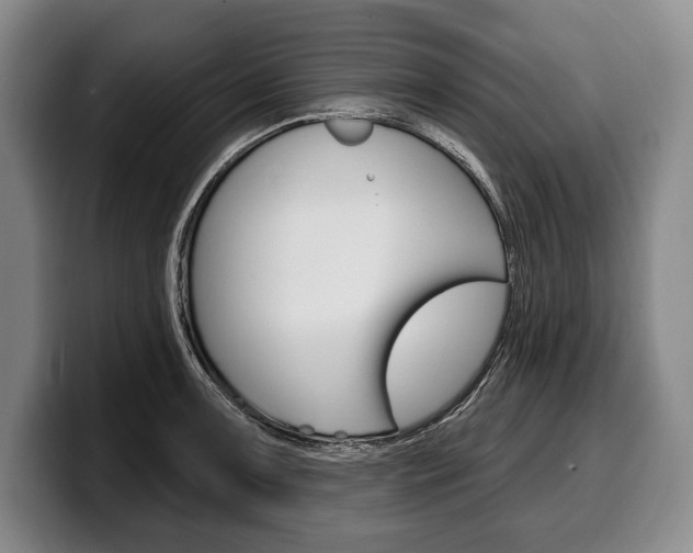X0000100331091200806051158