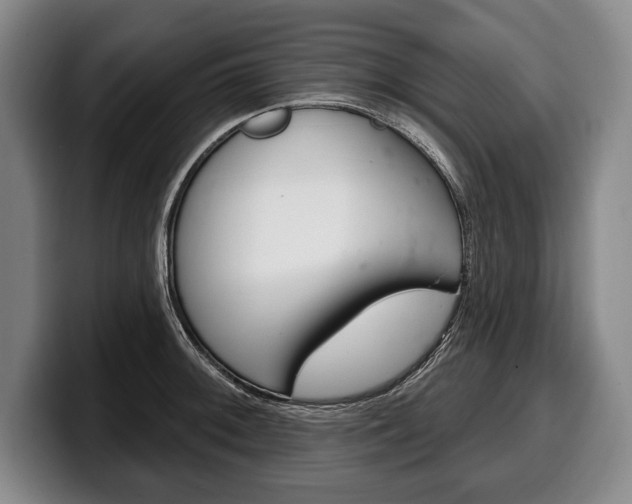 X0000100331092200806051158