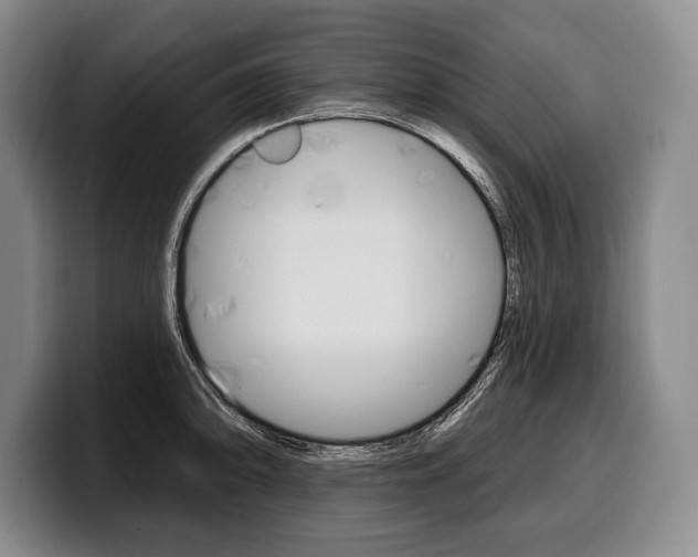 X0000100331094200806051158