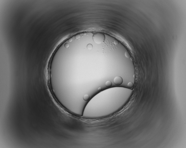 X0000100331095200806051158