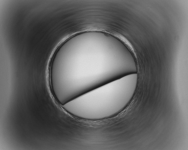 X0000100331096200806051158