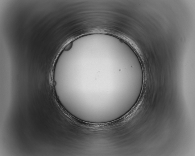 X0000100331097200806051158