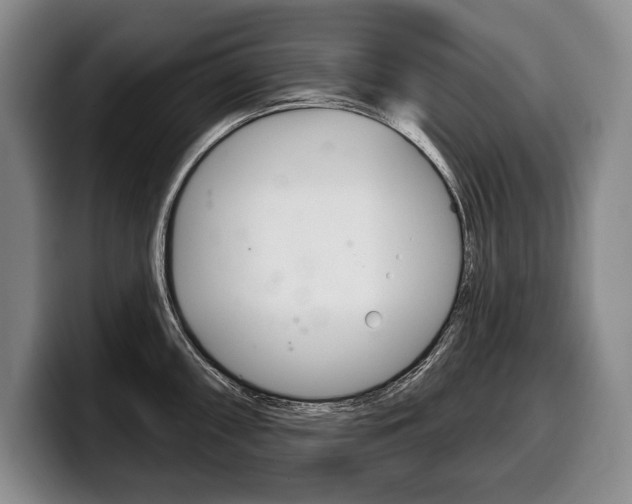 X0000100331098200806051158