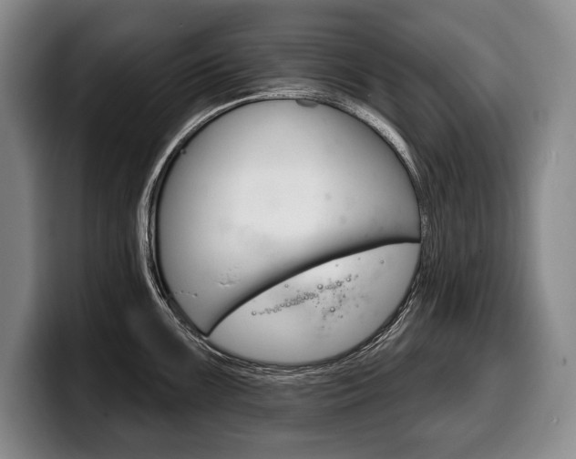 X0000100331099200806051158