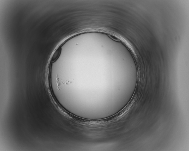 X0000100331102200806051158