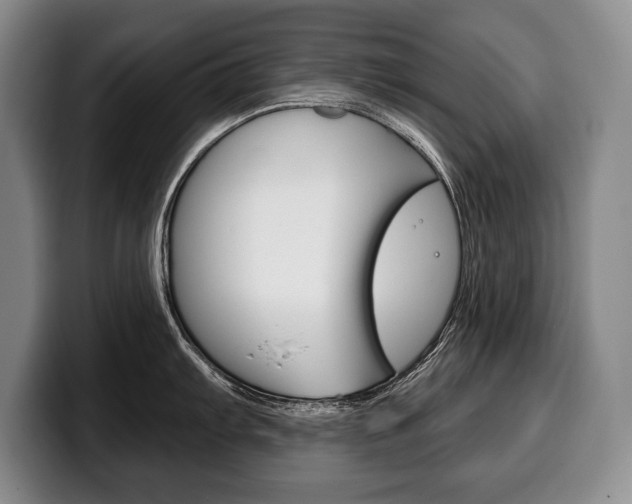 X0000100331103200806051158