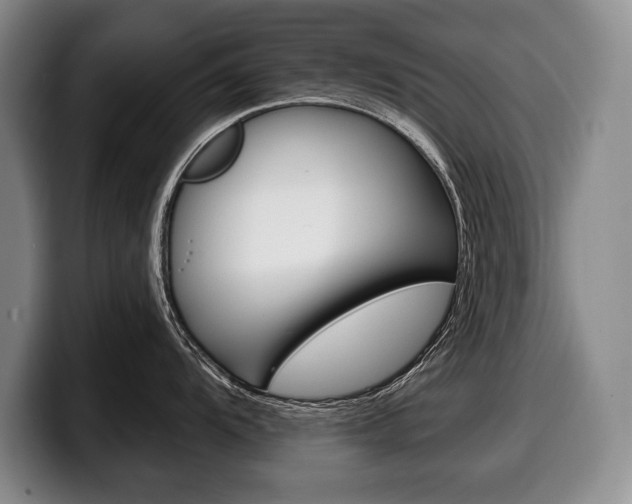 X0000100331104200806051158