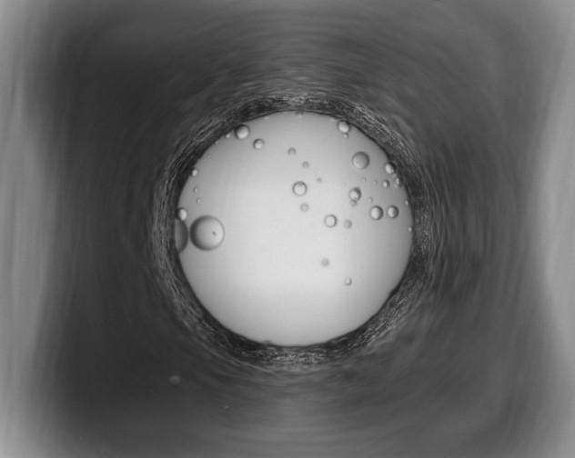 X0000100331105200806051157