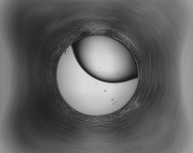 X0000100331108200806051158