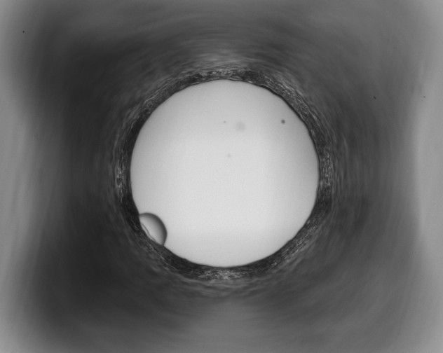 X0000100331109200806051158