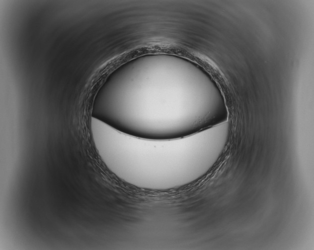X0000100331112200806051158