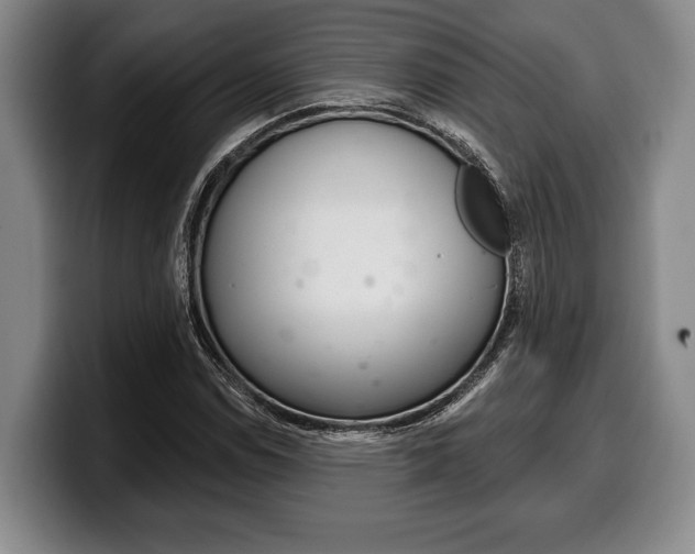 X0000100331114200806051158