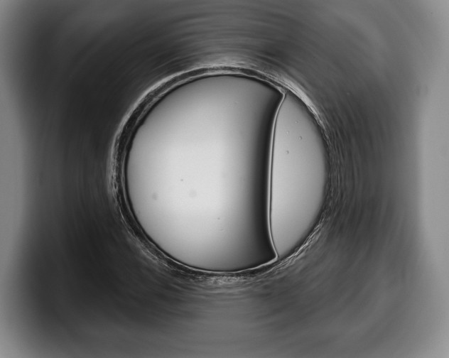 X0000100331116200806051158