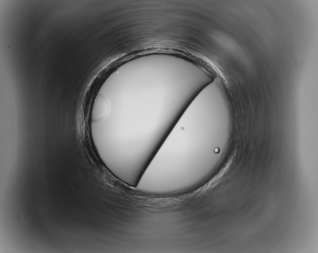 X0000100331117200806051158