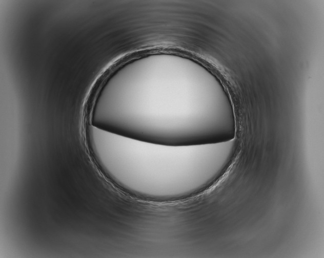 X0000100331118200806051158