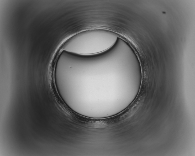 X0000100331119200806051158
