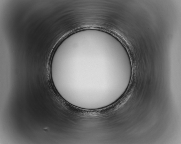 X0000100331121200806051158