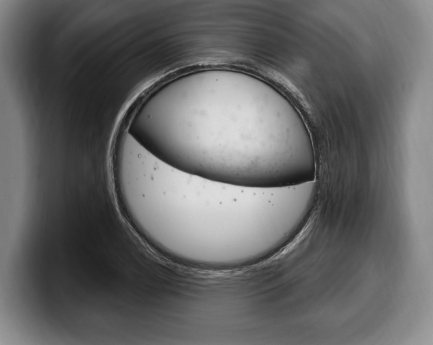 X0000100331122200806051158