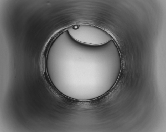 X0000100331123200806051158
