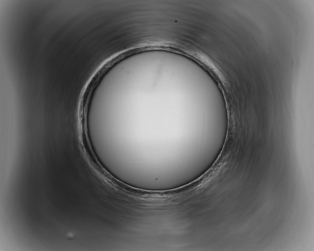 X0000100331124200806051158