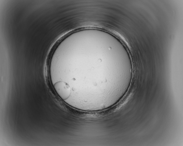 X0000100331125200806051158