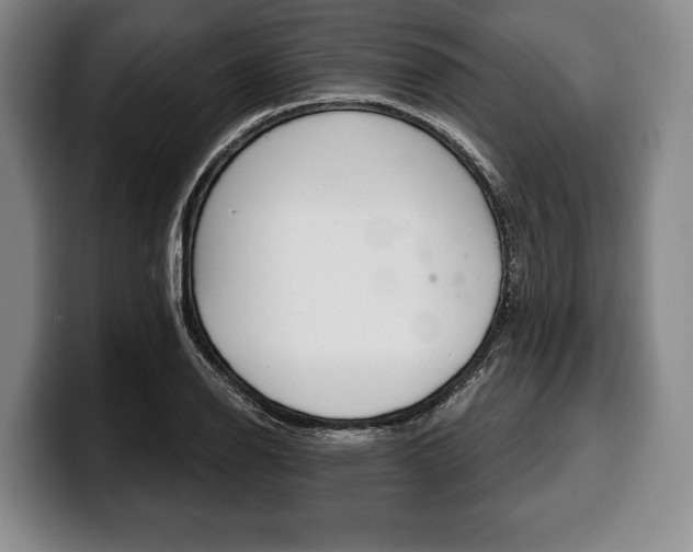 X0000100331126200806051158