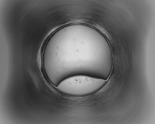 X0000100331127200806051158