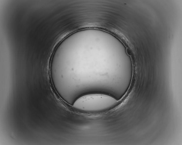 X0000100331129200806051158