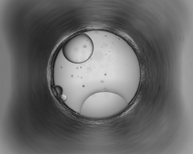 X0000100331130200806051158
