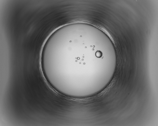 X0000100331132200806051158