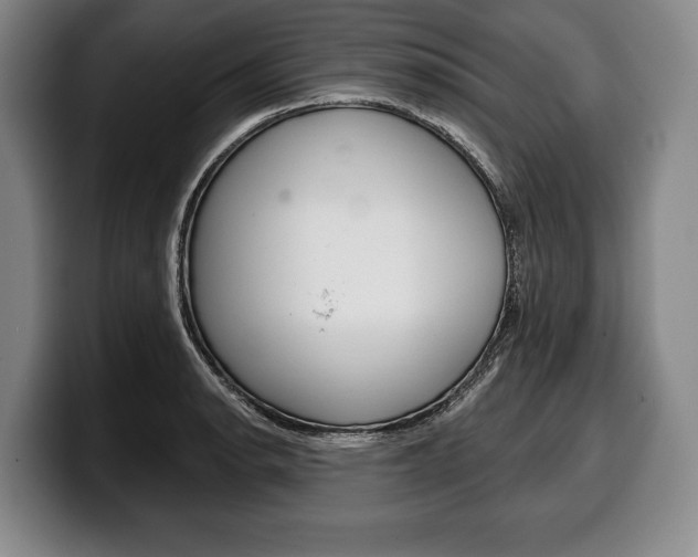 X0000100331134200806051158