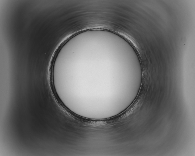 X0000100331135200806051158