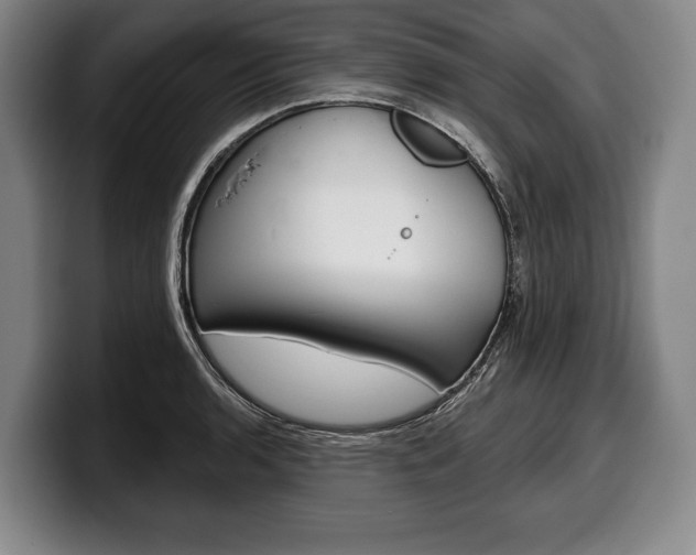 X0000100331136200806051158
