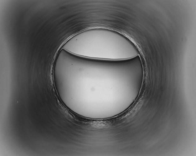 X0000100331137200806051158
