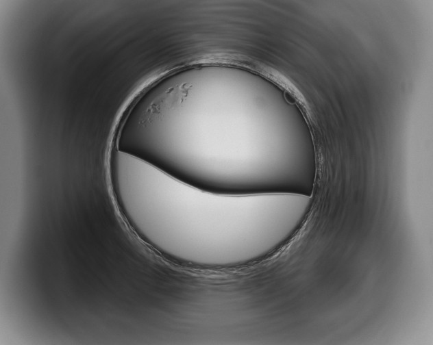 X0000100331138200806051158
